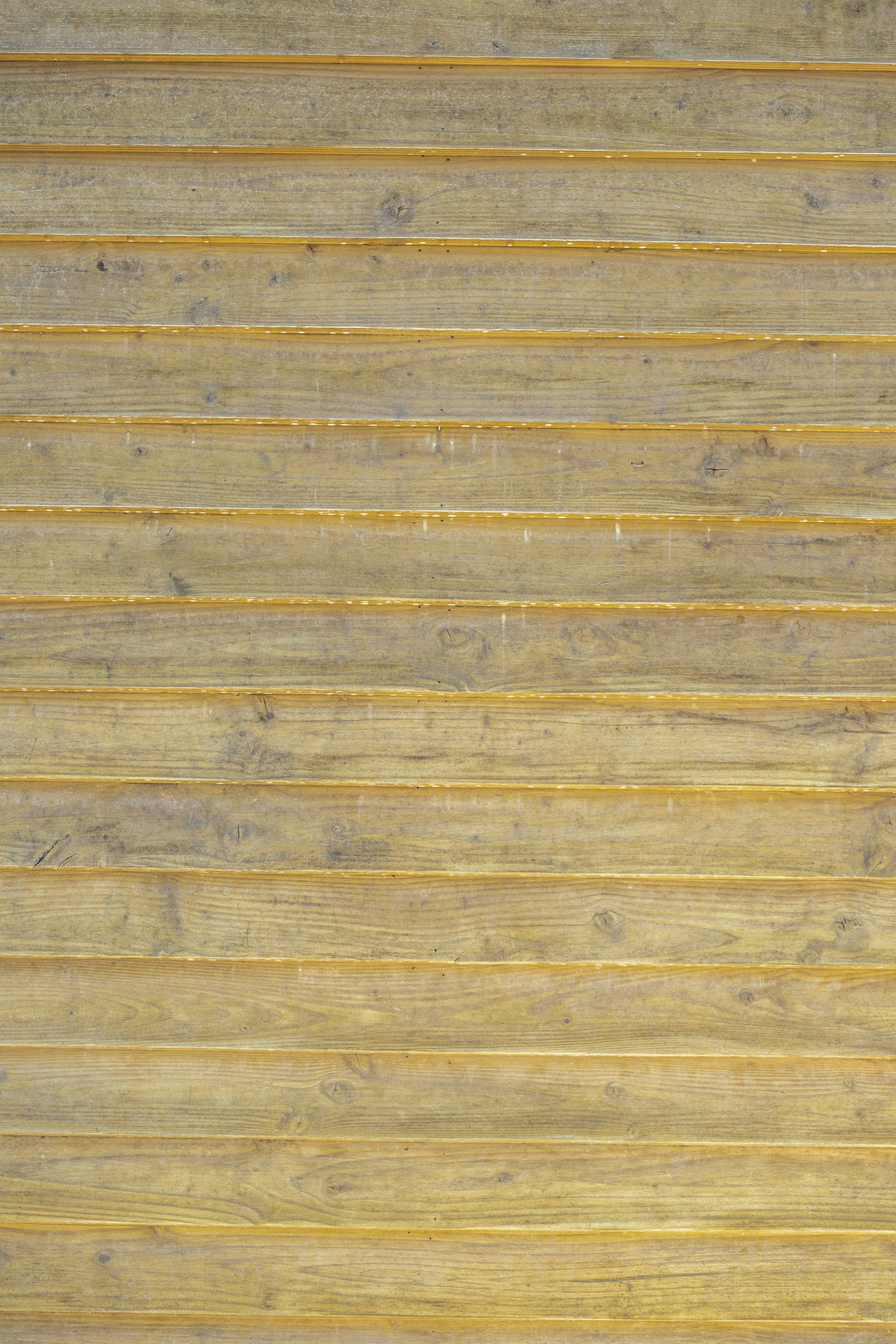 eine Person, die auf einem Skateboard auf einer Holzoberfläche fährt