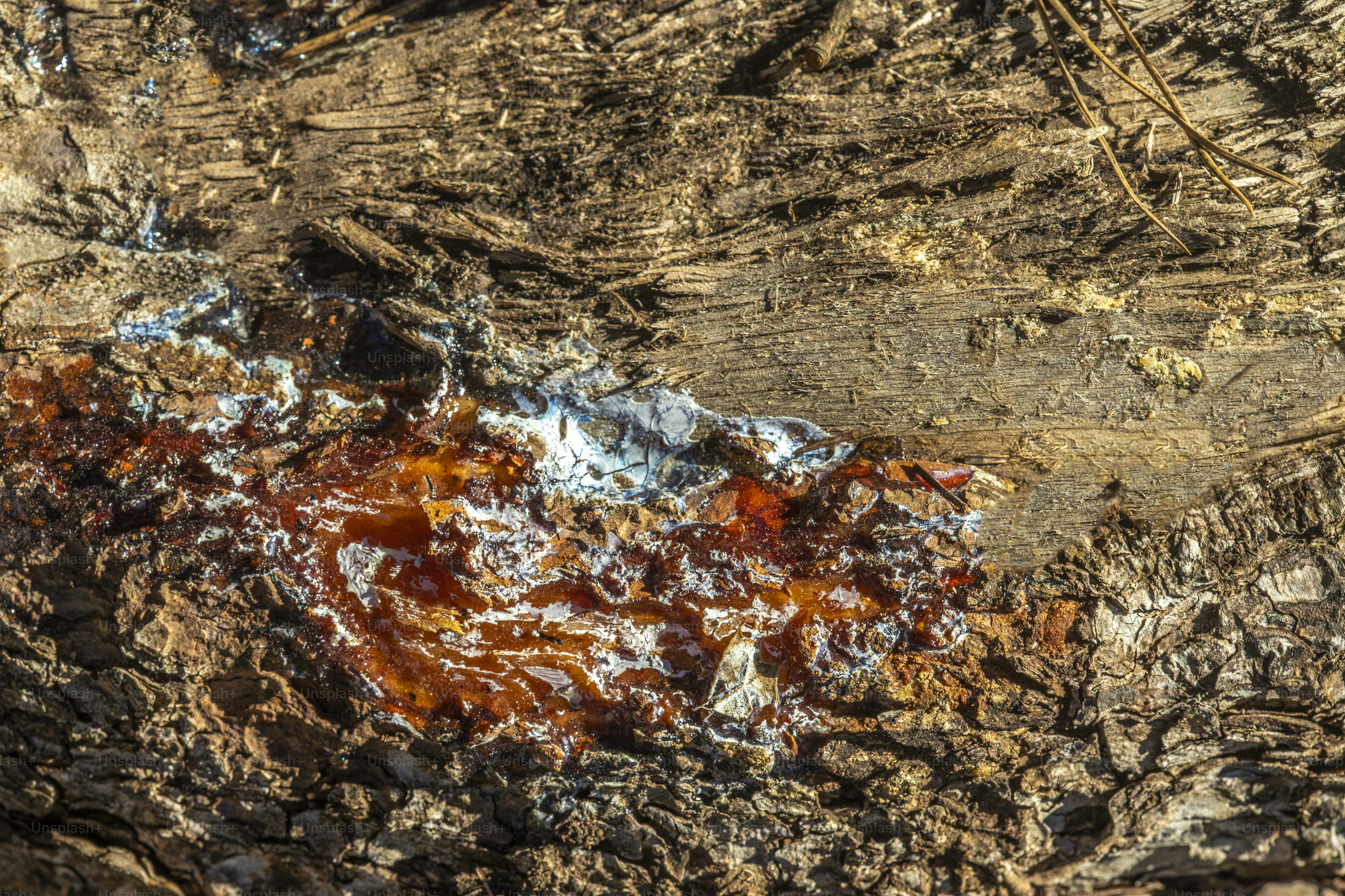 un pedazo de madera que tiene un poco de pintura marrón y blanca