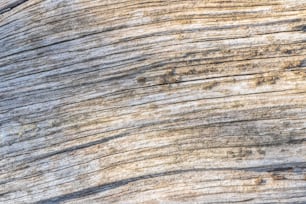 un primo piano di una superficie di legno con vernice scrostata