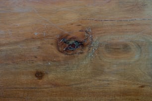 un morceau de bois avec un trou dedans