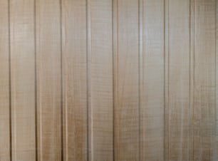 a white toilet sitting next to a wooden wall