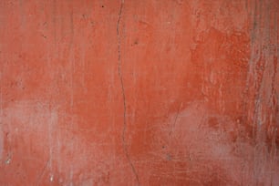 a red wall with a white clock on it
