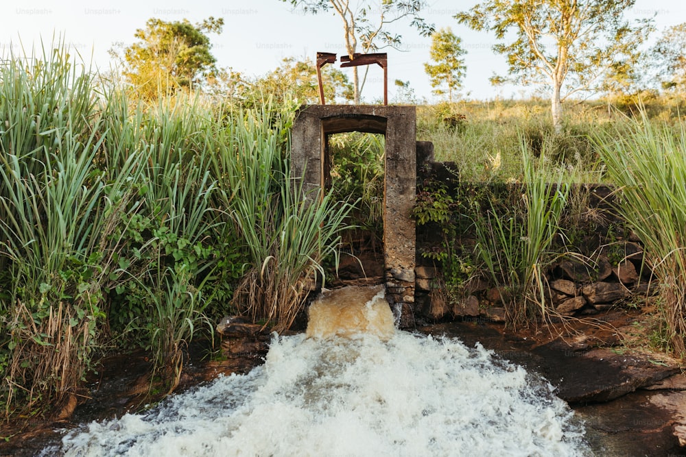 a small stream of water running through a field