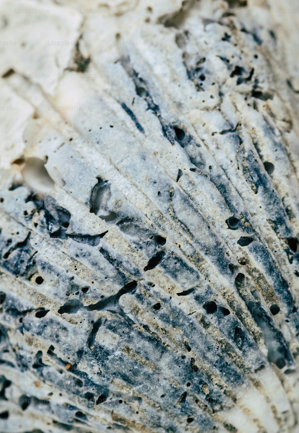 um close up de um pedaço de rocha com buracos nele