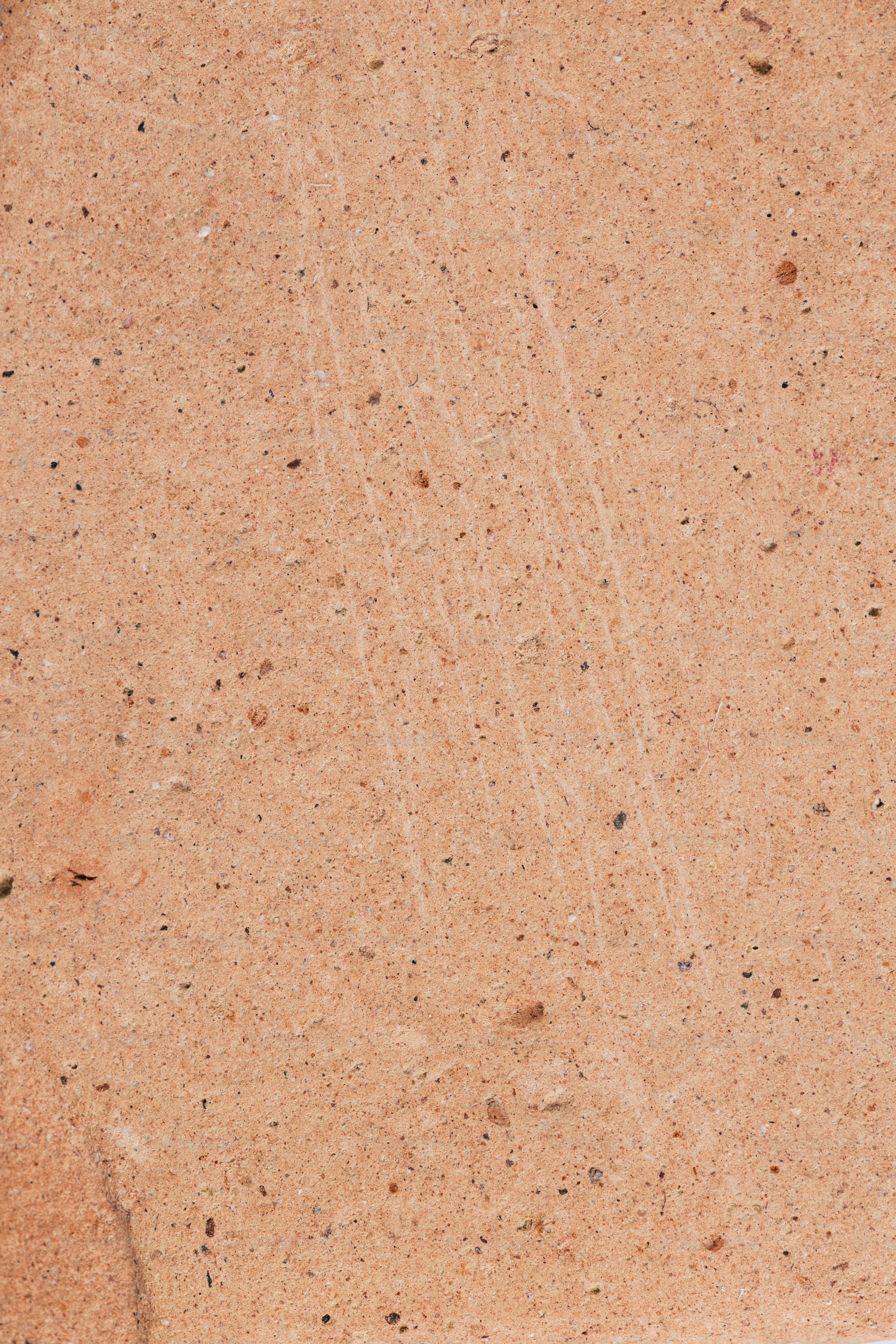 A close up of a white shell on a beach photo – Texture Image on Unsplash