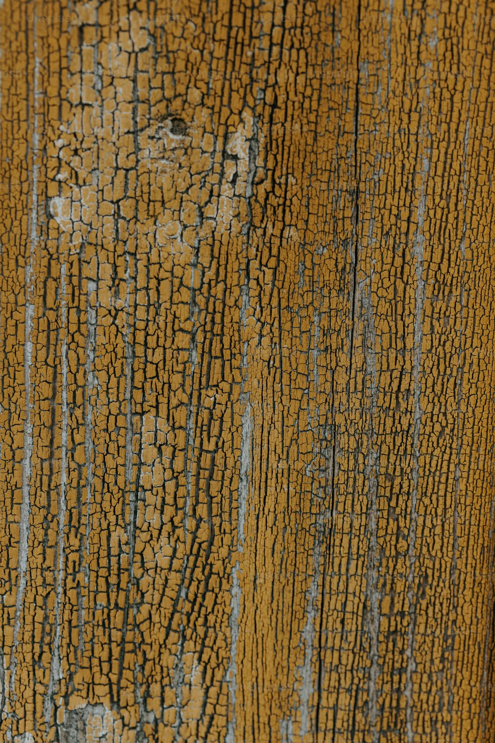 Nahaufnahme einer Holzoberfläche mit abblätternder Farbe