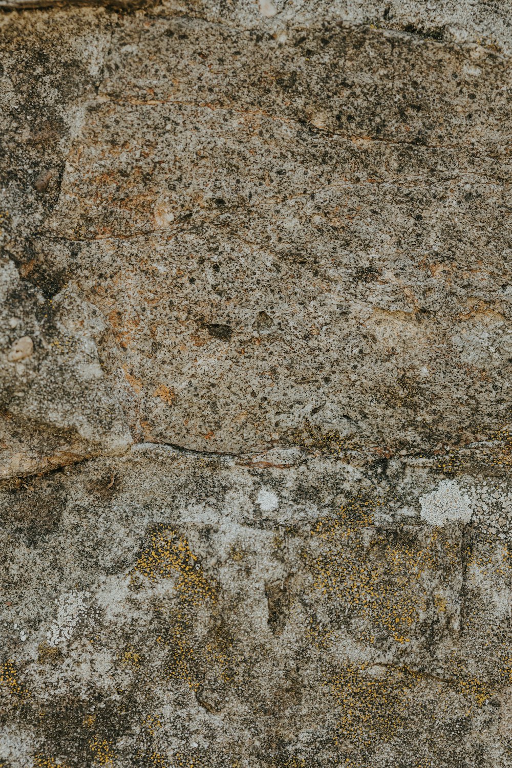 Un primo piano di una roccia con licheni su di esso