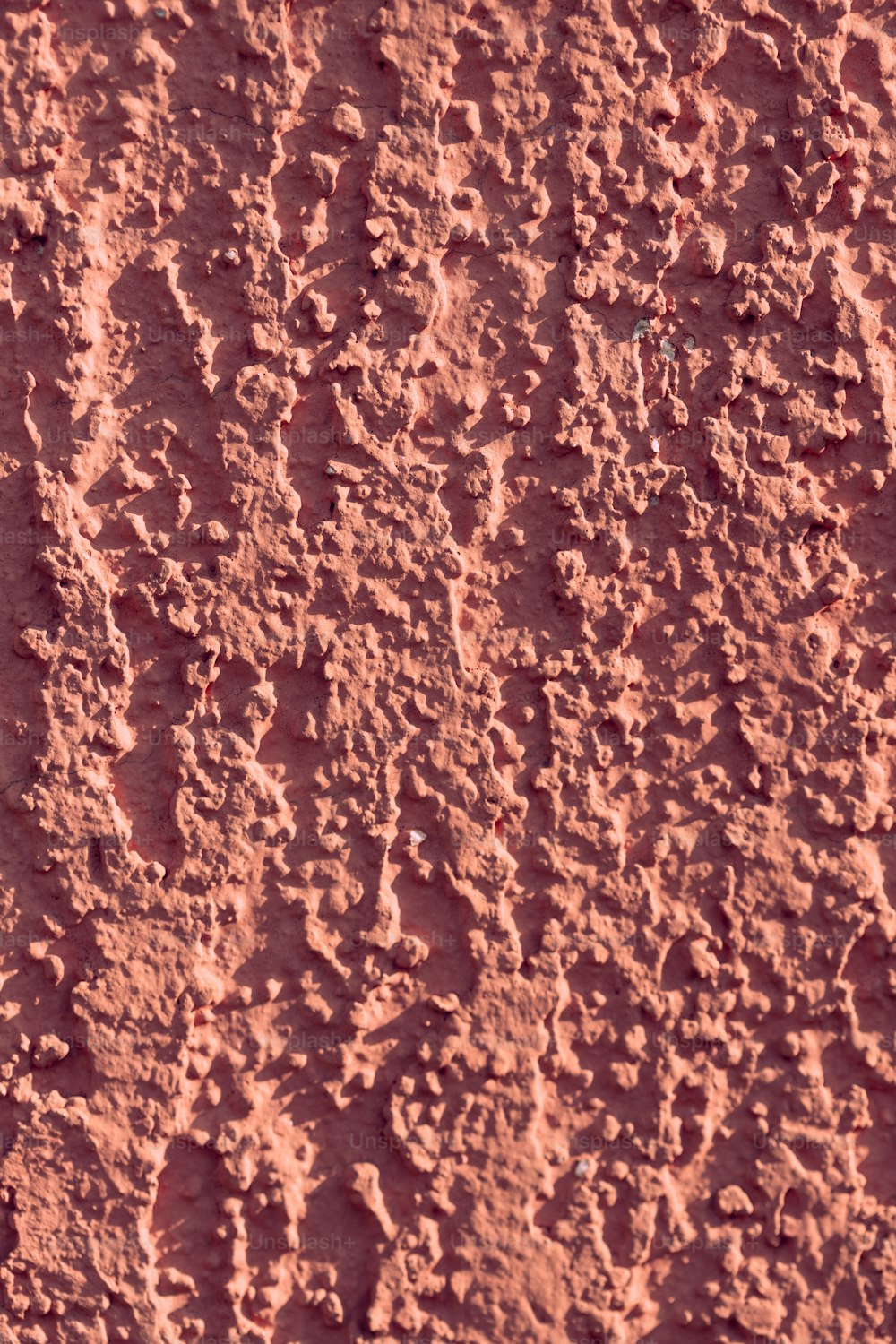 a close up of a red wall with a bird on it