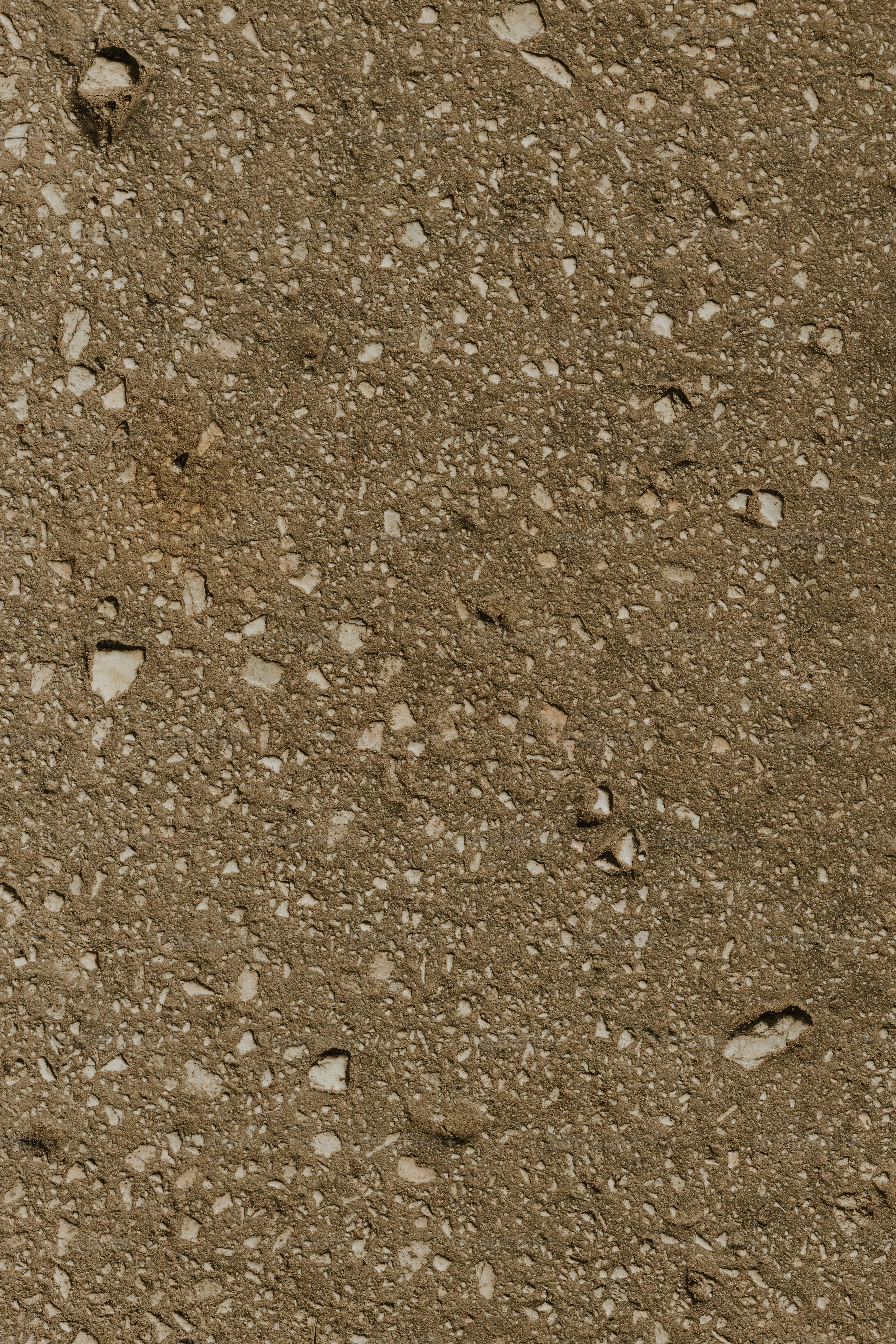 Un uccello è in piedi a terra nella sporcizia