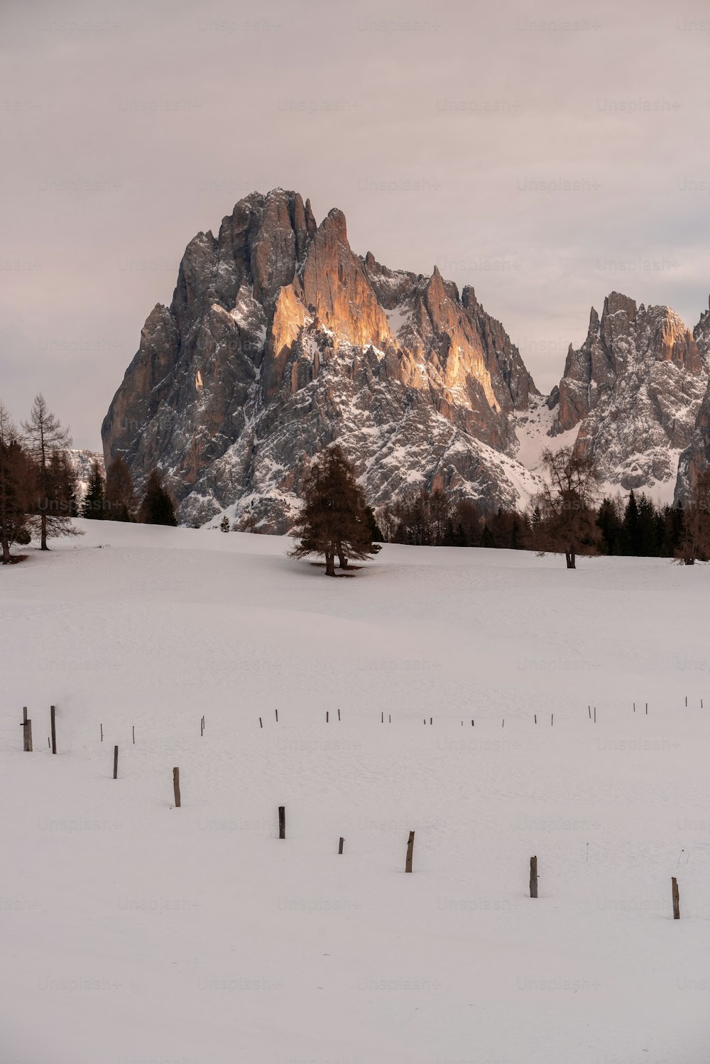 a snow covered field with trees and mountains in the background