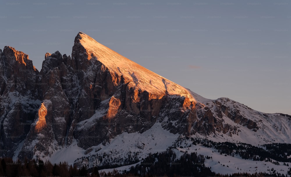 a snow covered mountain with trees in the foreground