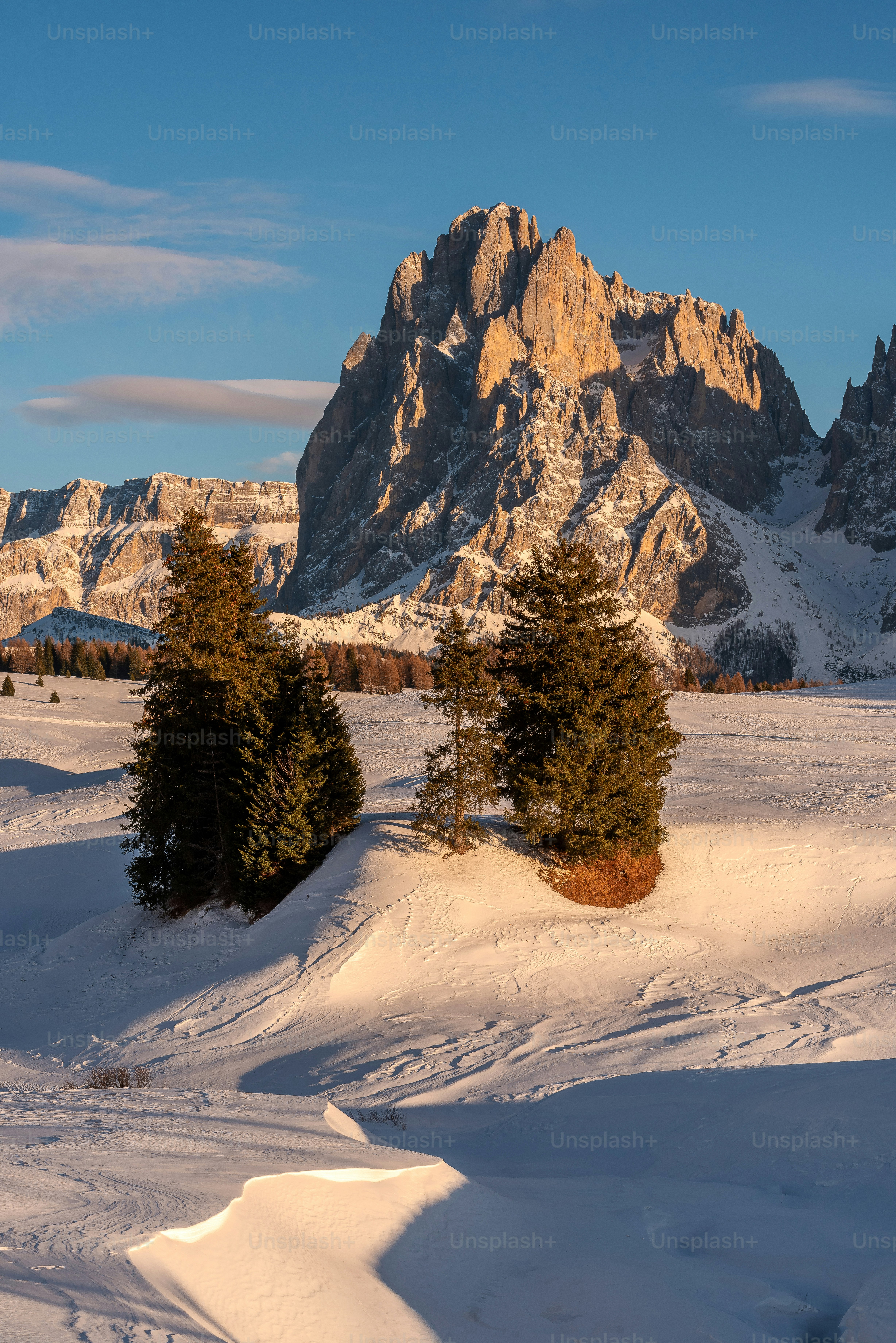 Un campo cubierto de nieve con árboles y montañas al fondo