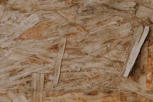 um close up de um pedaço de madeira