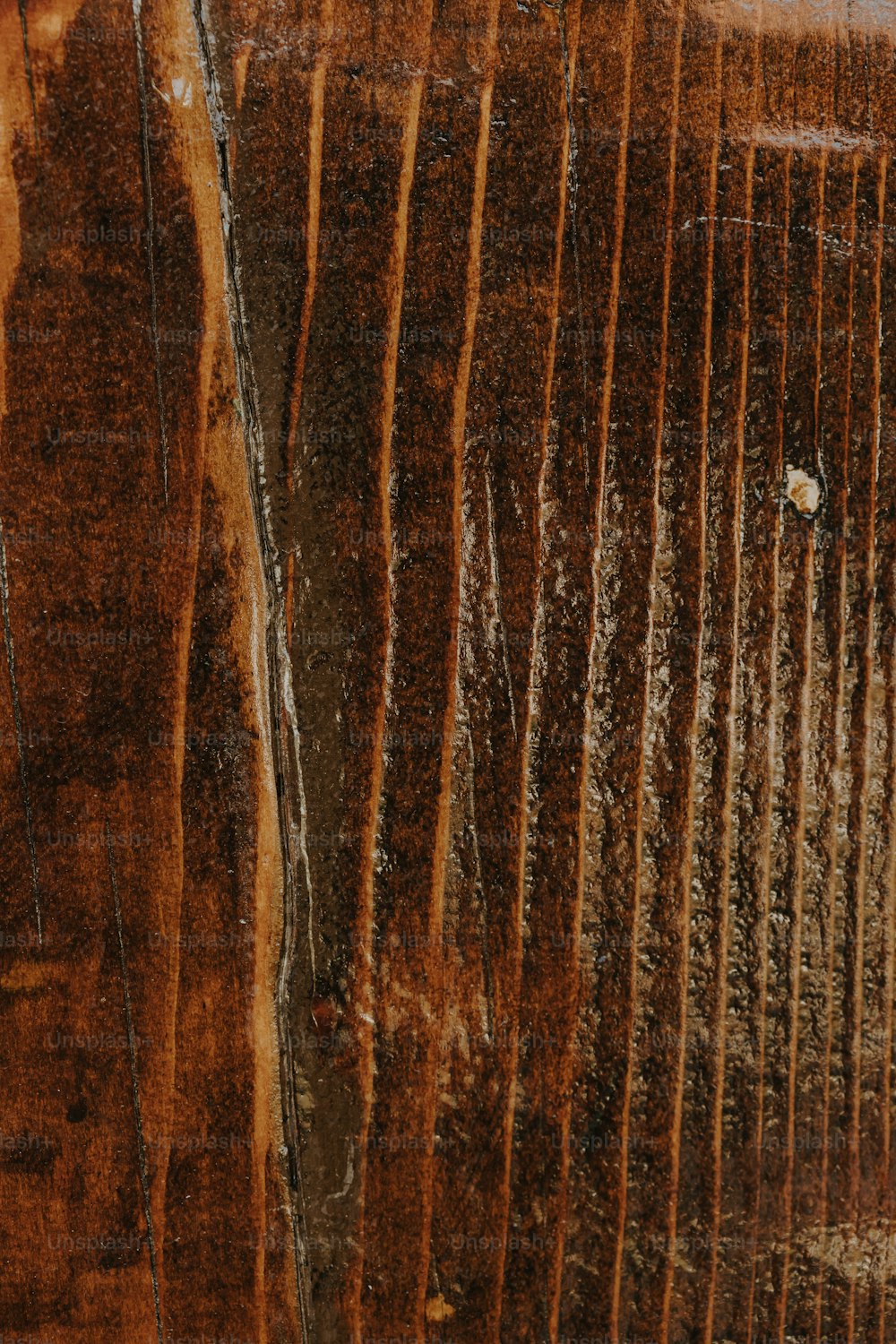 a bird is perched on the side of a wall