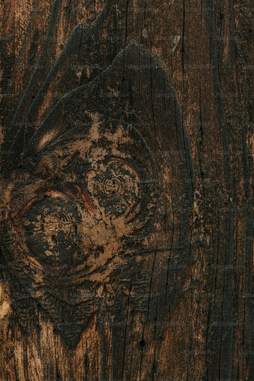 a close up of a piece of wood with a bird's eye