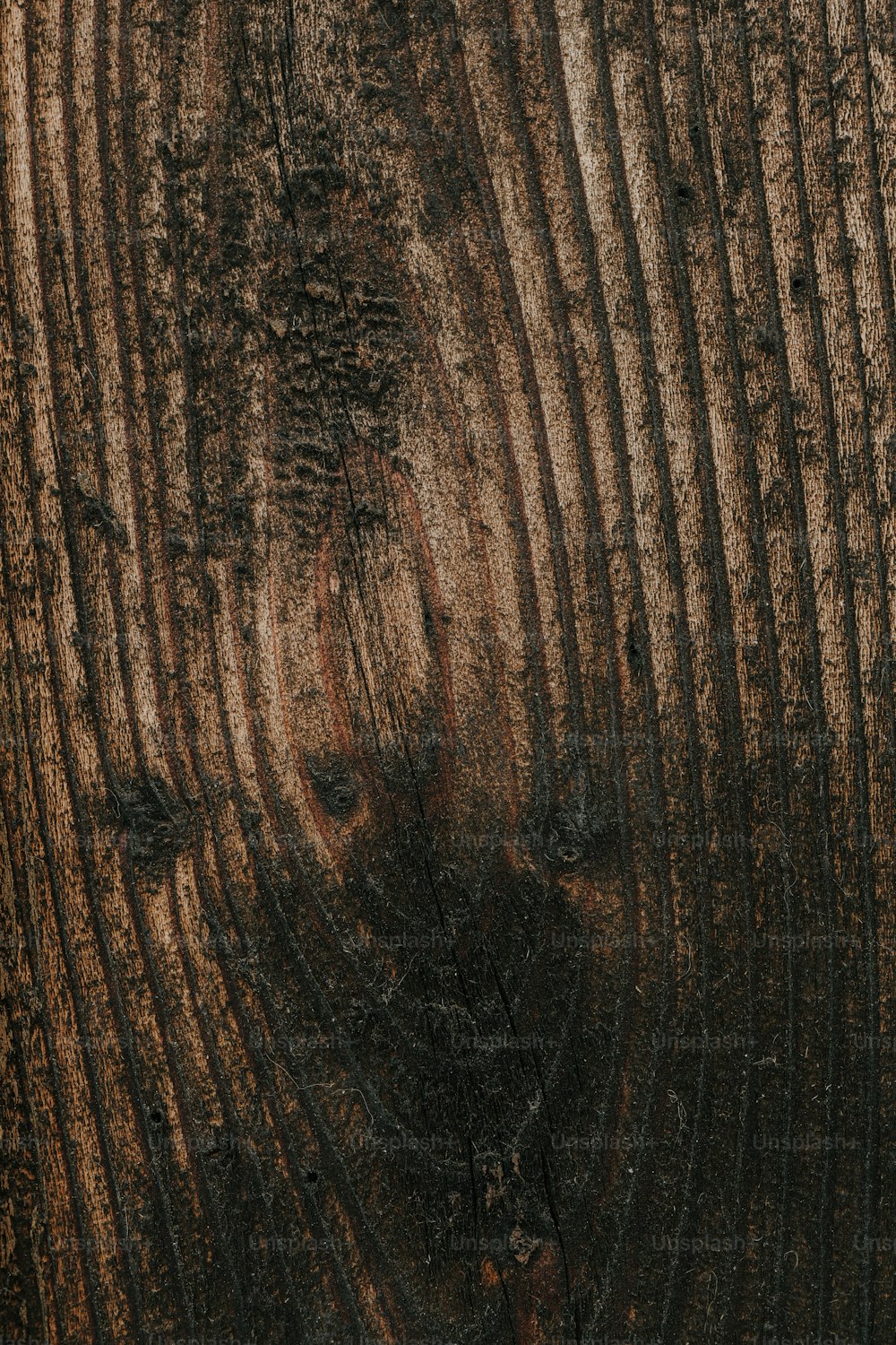 나무 껍질을 보여주는 나무 줄기의 클로즈업