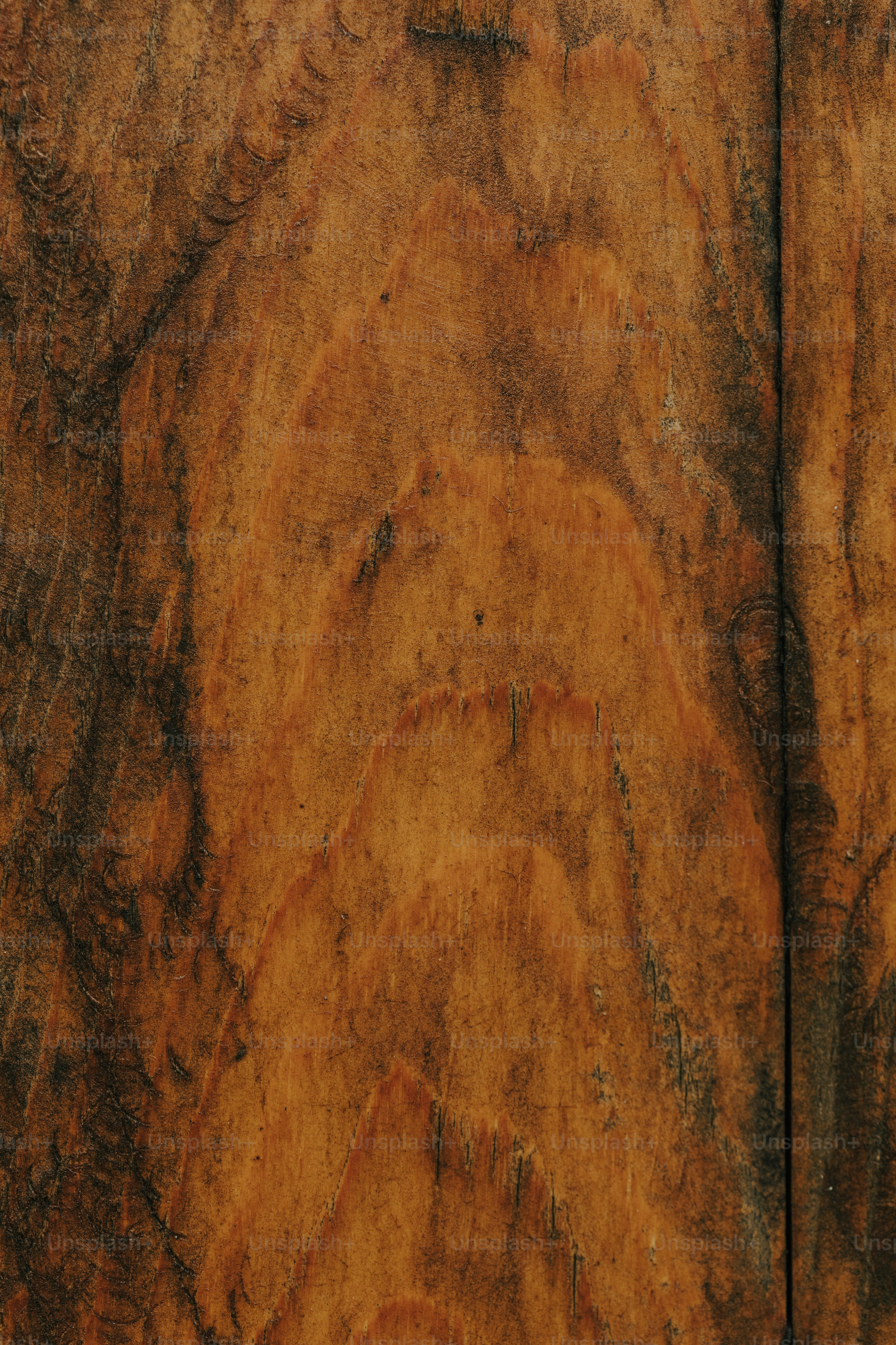 a close up of a piece of wood