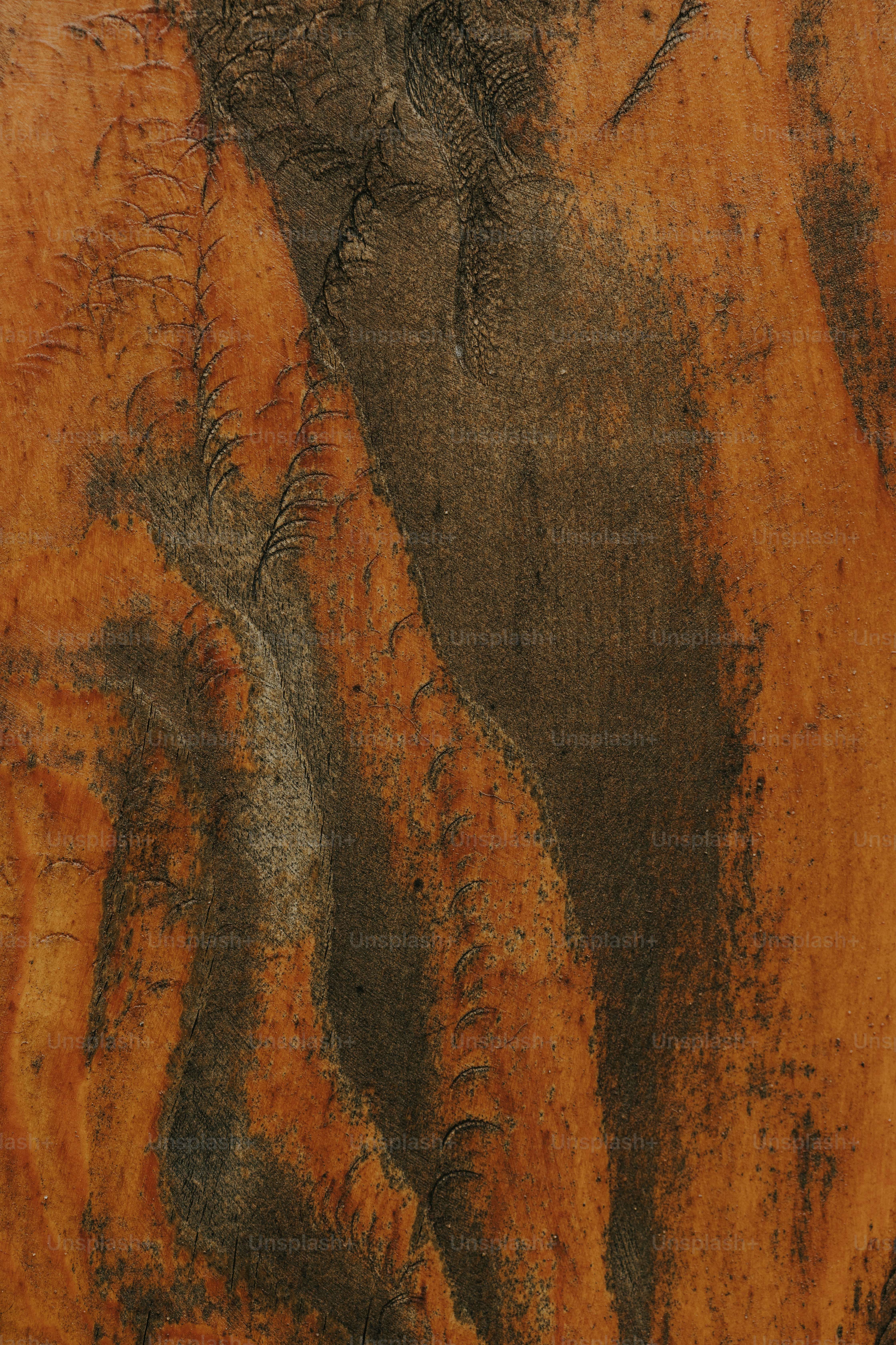 a close up of a piece of wood