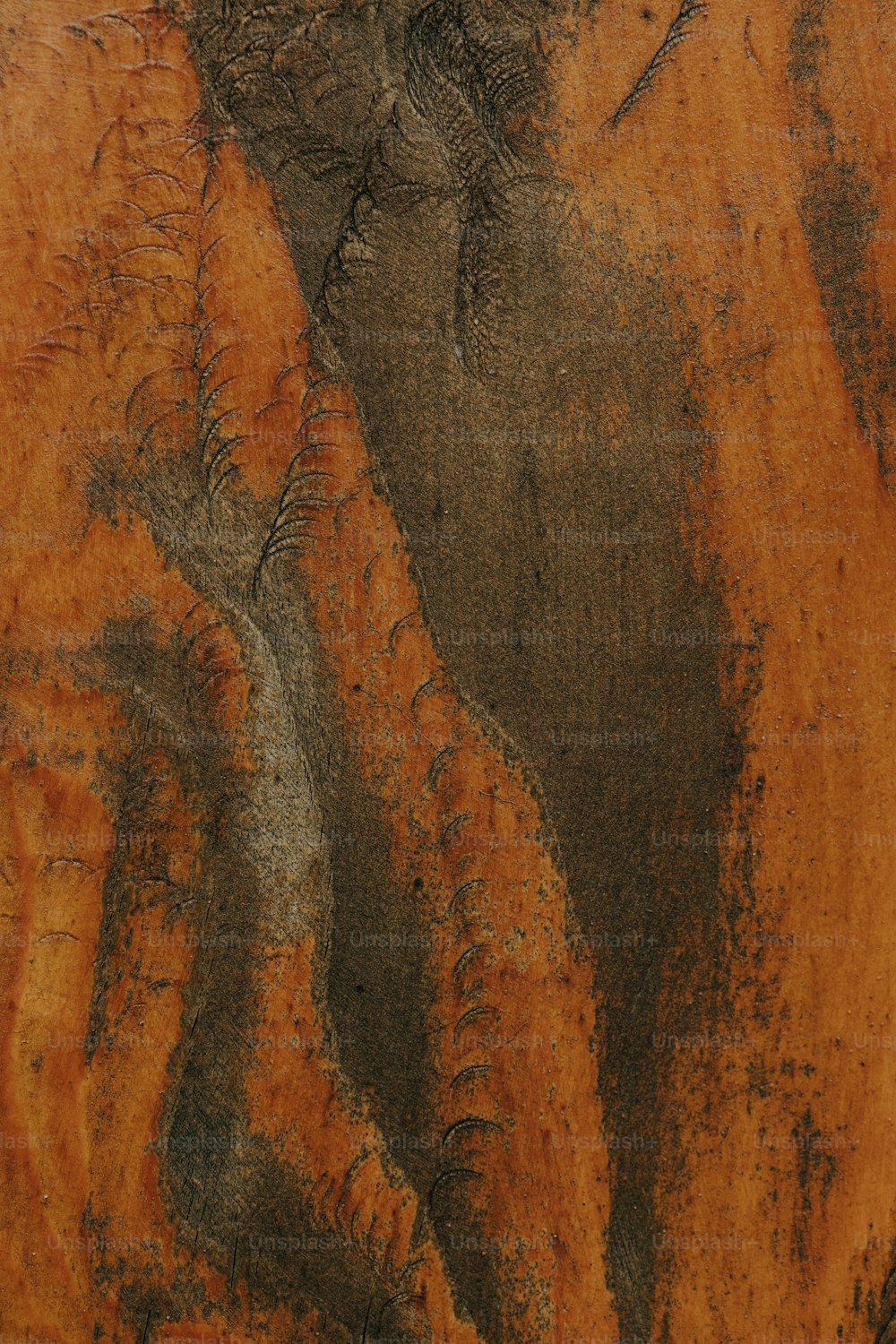 a close up of a piece of wood