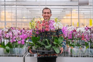 Un homme tenant un plateau de fleurs dans une serre