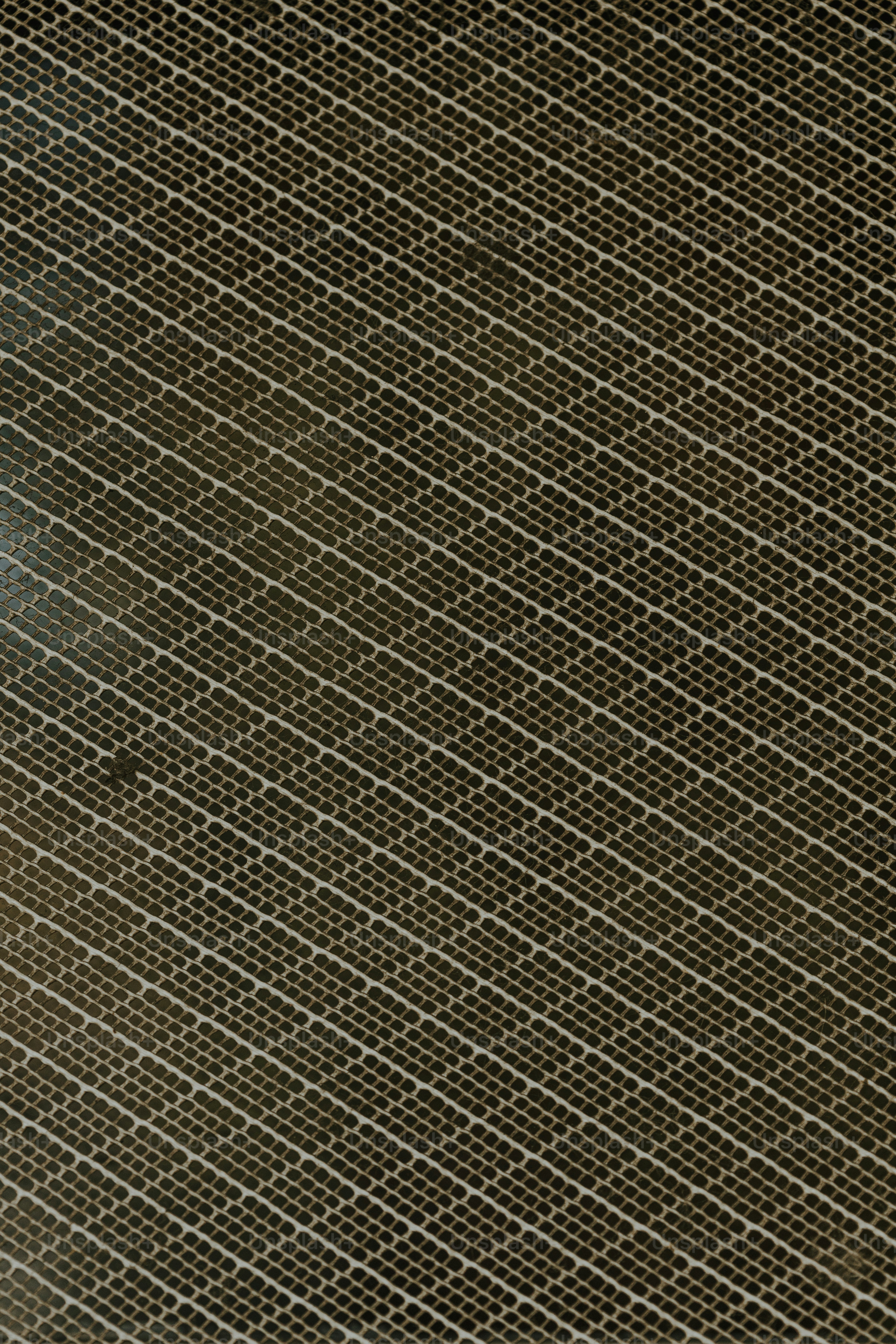 a black and white cat sitting on a chair