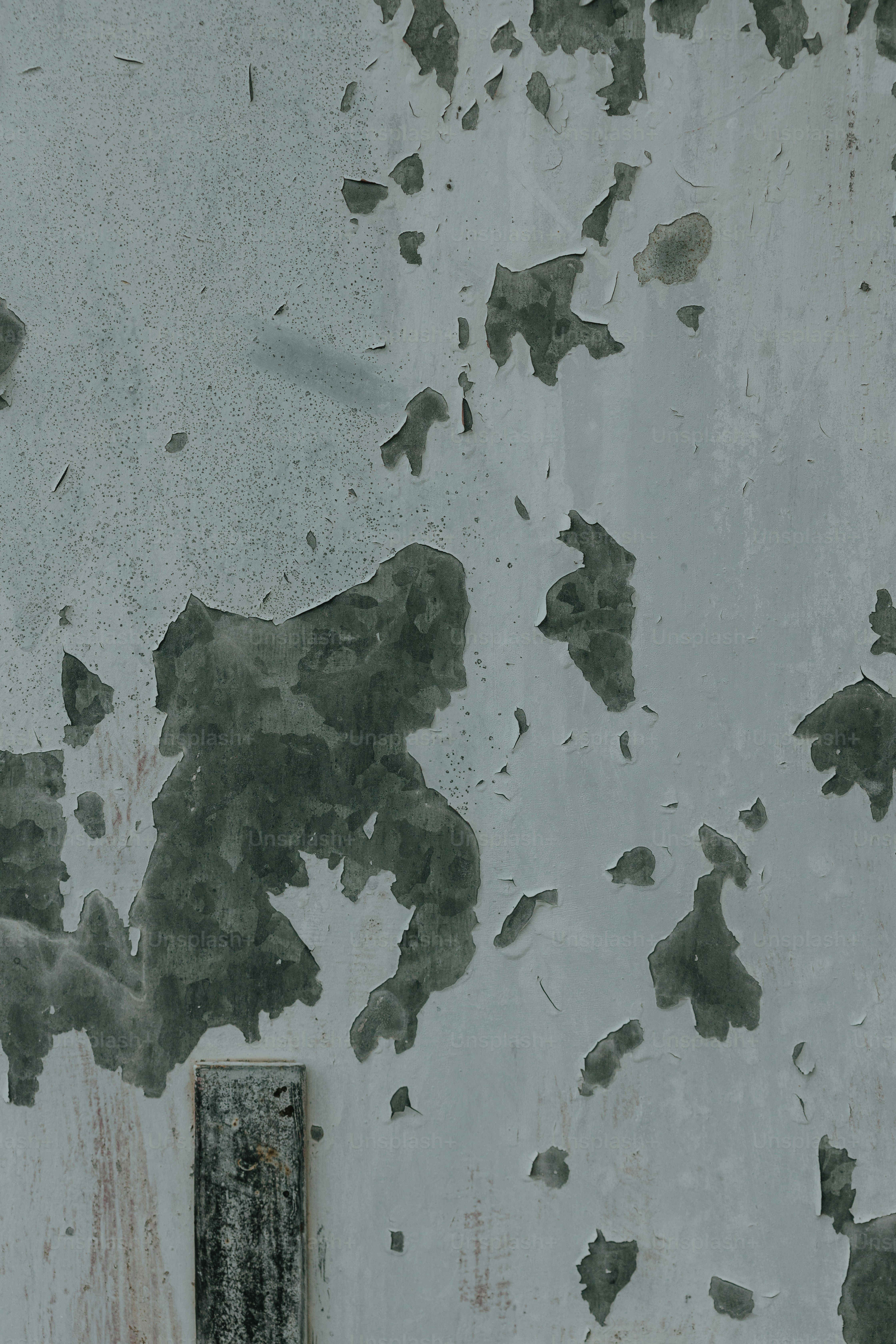 premium_photo-1675635656190-3536b188aafa?ixid=M3wxMjA3fDB8MXxzZWFyY2h8Mnx8a2F0dGFuZWsuZGV8ZW58MHx8fHwxNzQwODQyMTE3fDA\u0026ixlib=rb-4.0.3