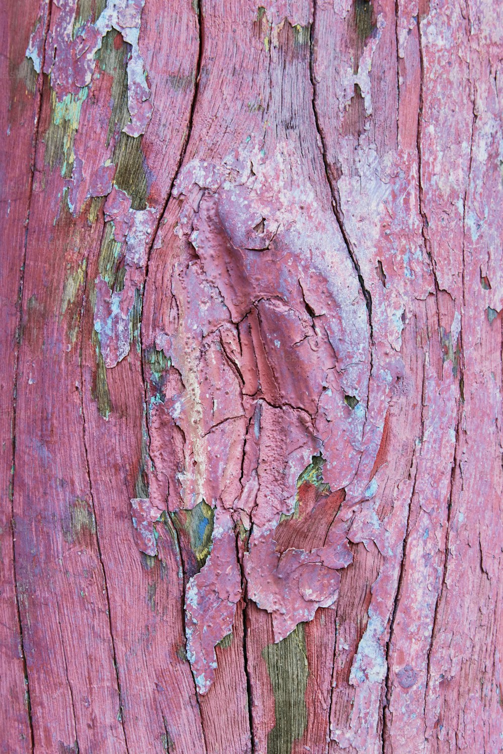 Nahaufnahme eines Baumstammes mit abblätternder Farbe