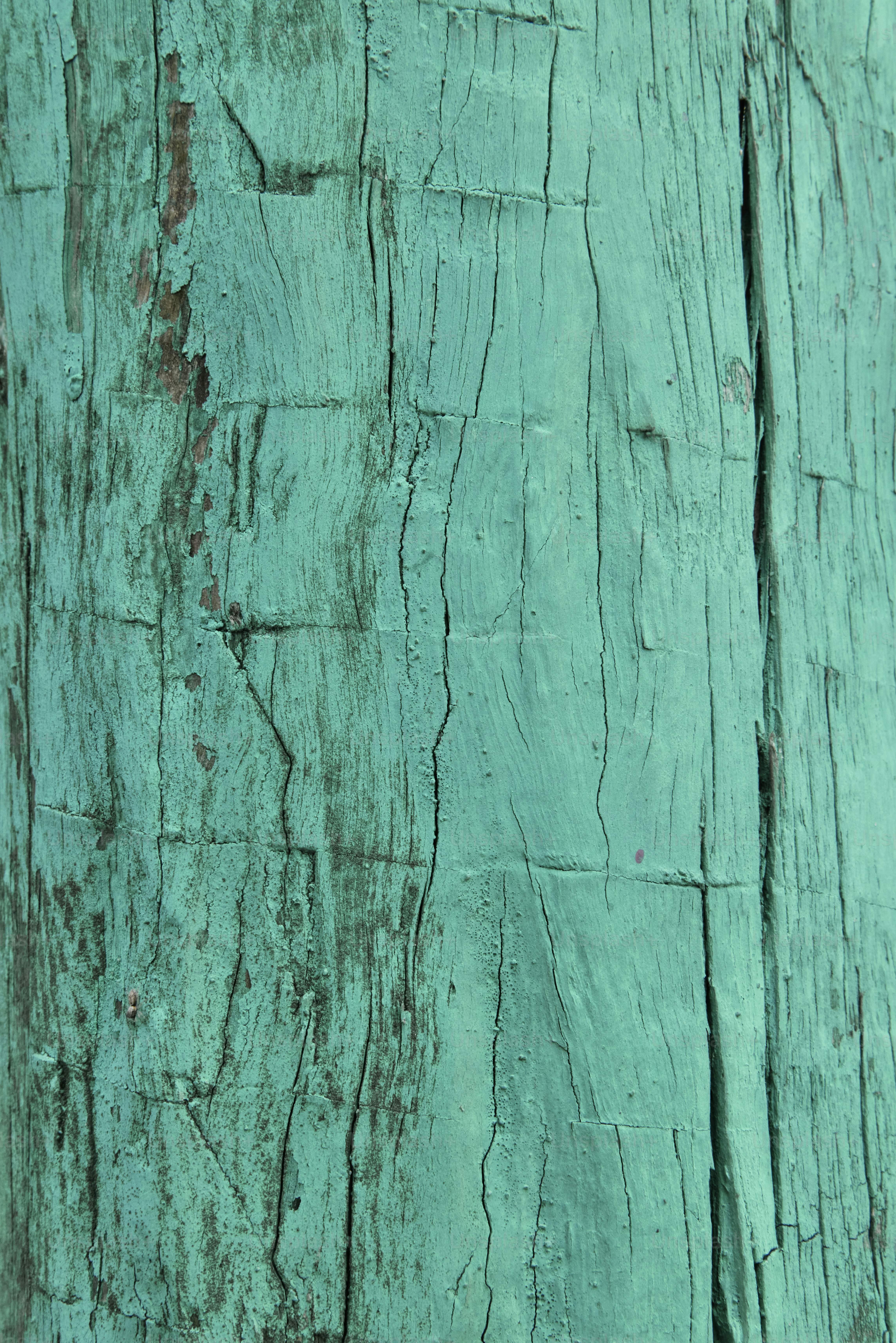 Gros plan d’un morceau de bois avec de la peinture écaillée