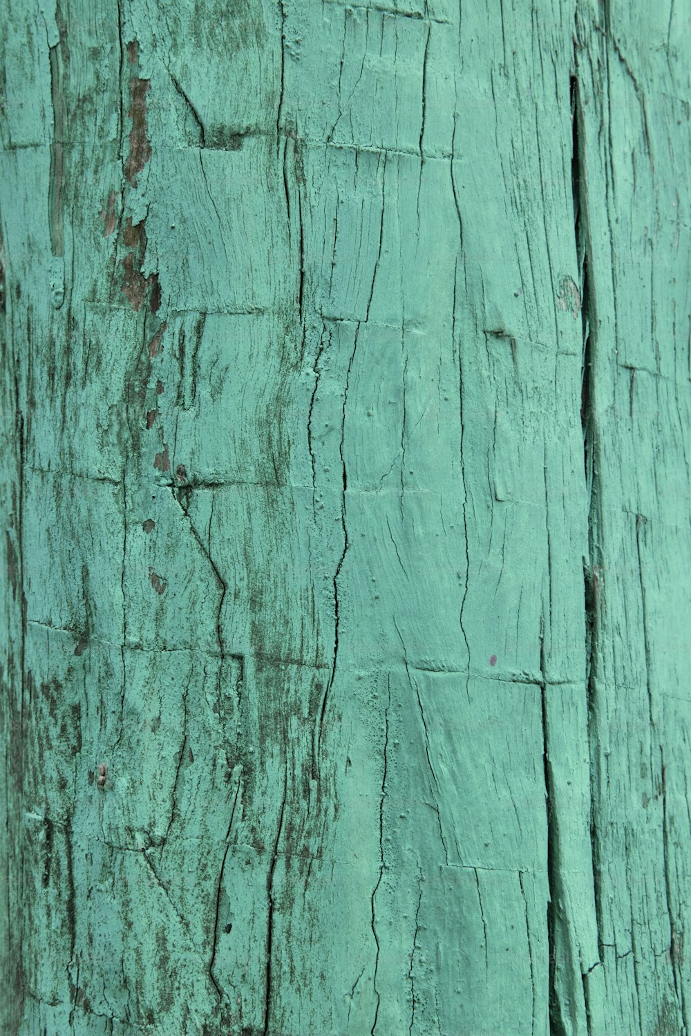 un primer plano de un trozo de madera con pintura descascarada