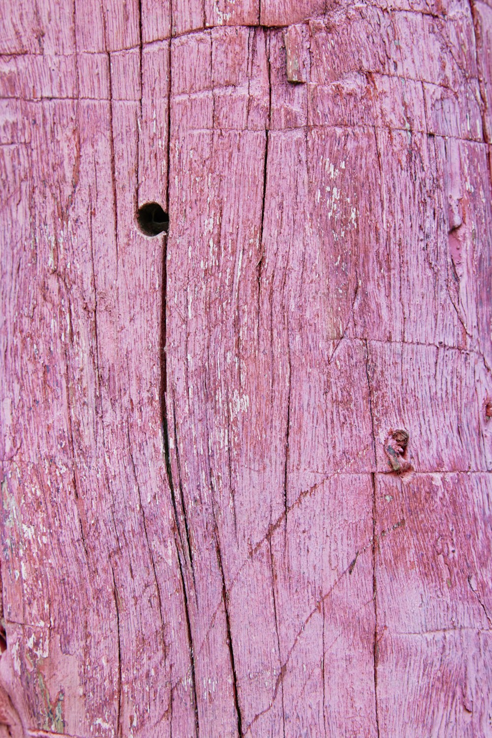 a close up of a piece of wood with holes in it