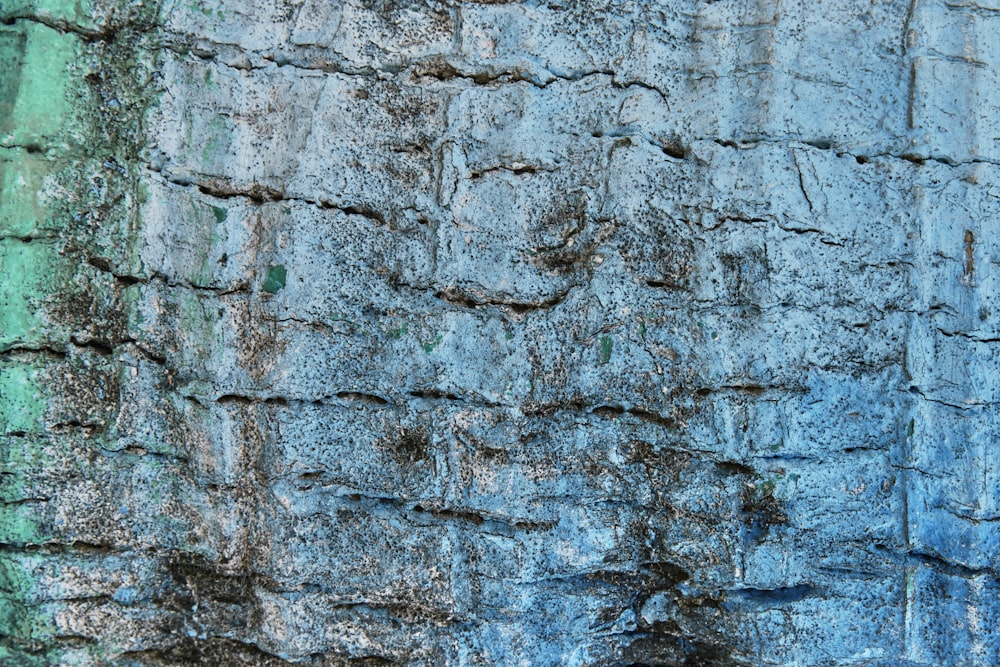 a close up of the bark of a tree