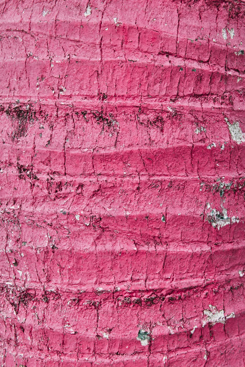 Un primer plano de una pared pintada de rosa