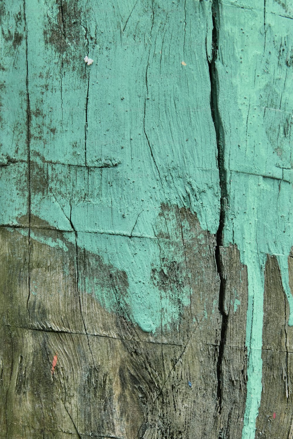 un primo piano di un pezzo di legno con vernice scrostata