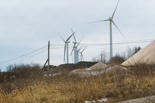 Un montón de molinos de viento detrás de una cerca de alambre de púas