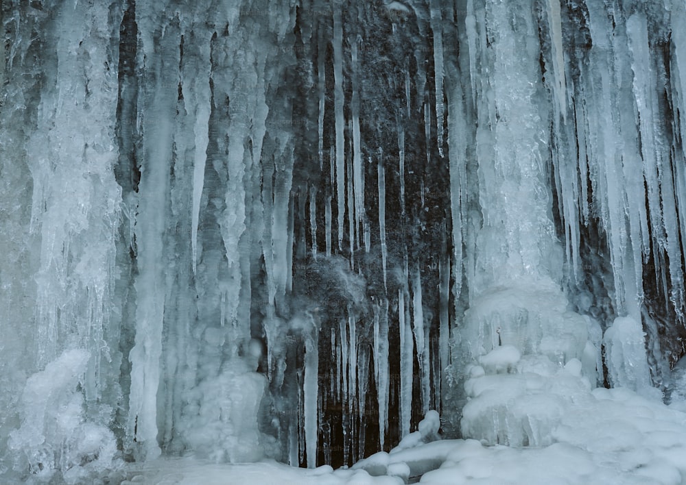 a forest filled with lots of ice covered trees