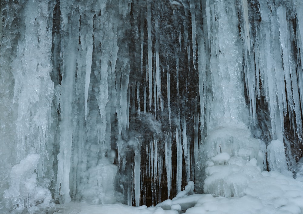 Una foresta piena di molti alberi coperti di ghiaccio