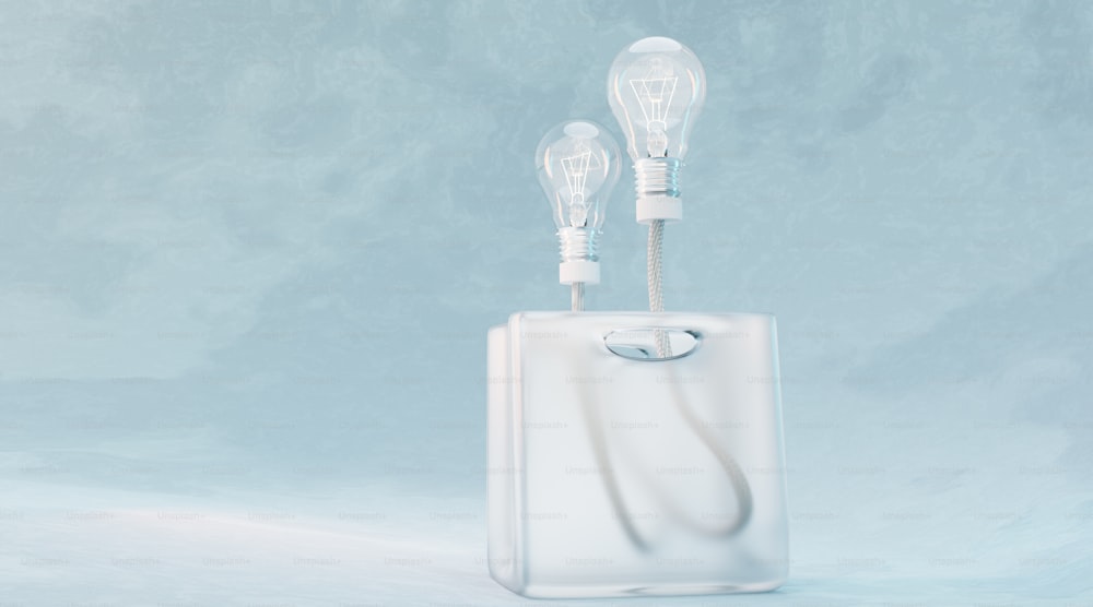 two light bulbs are plugged into a white box