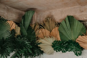 a group of palm leaves hanging on a wall