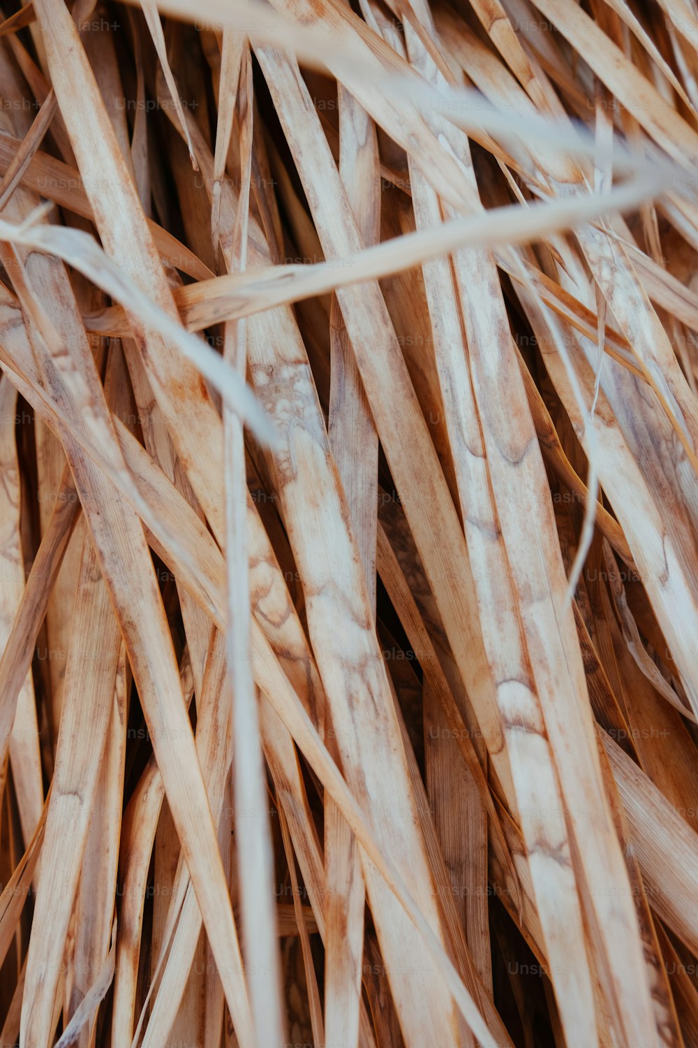 a close up of a bunch of brown grass