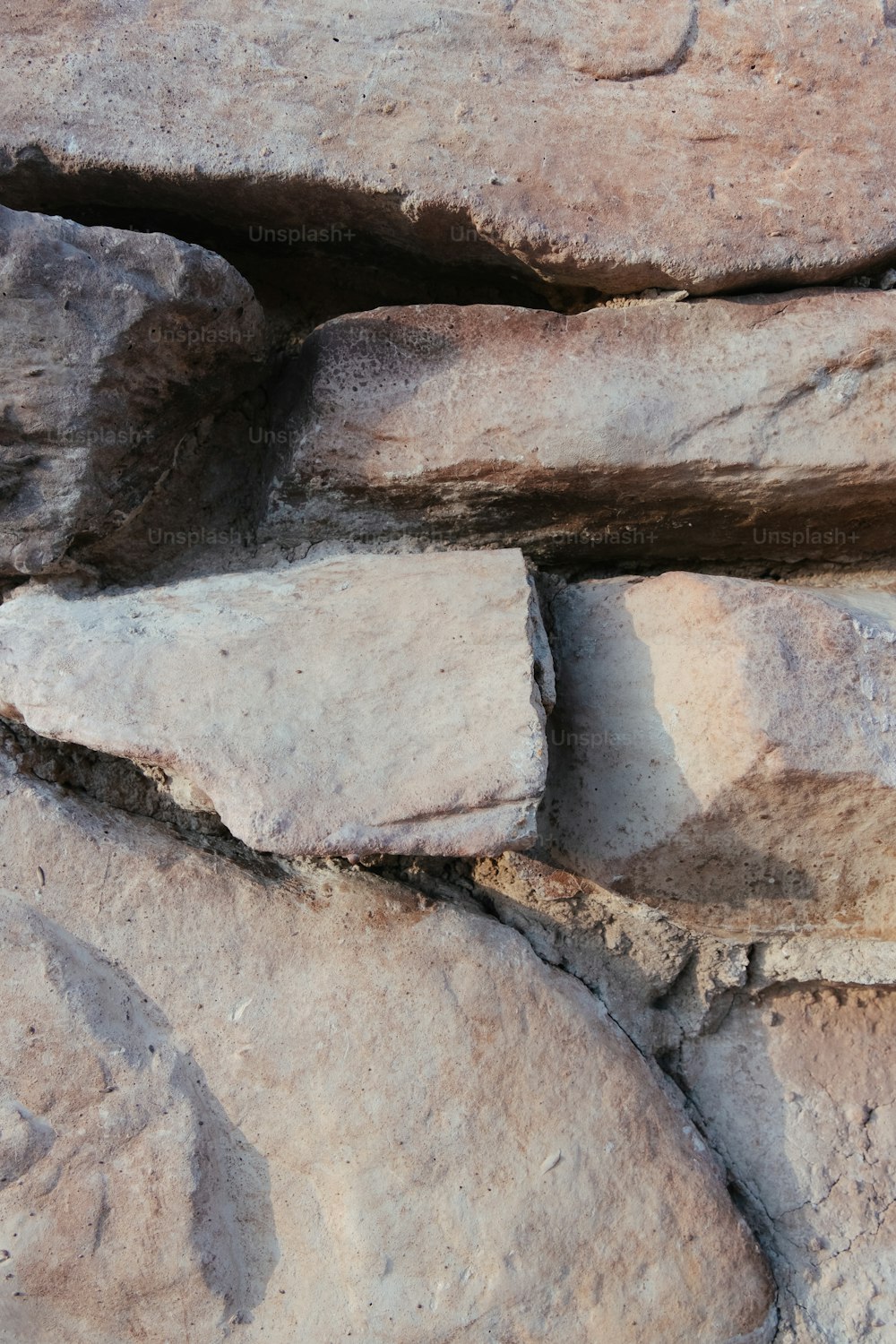 a bird is perched on a rock wall