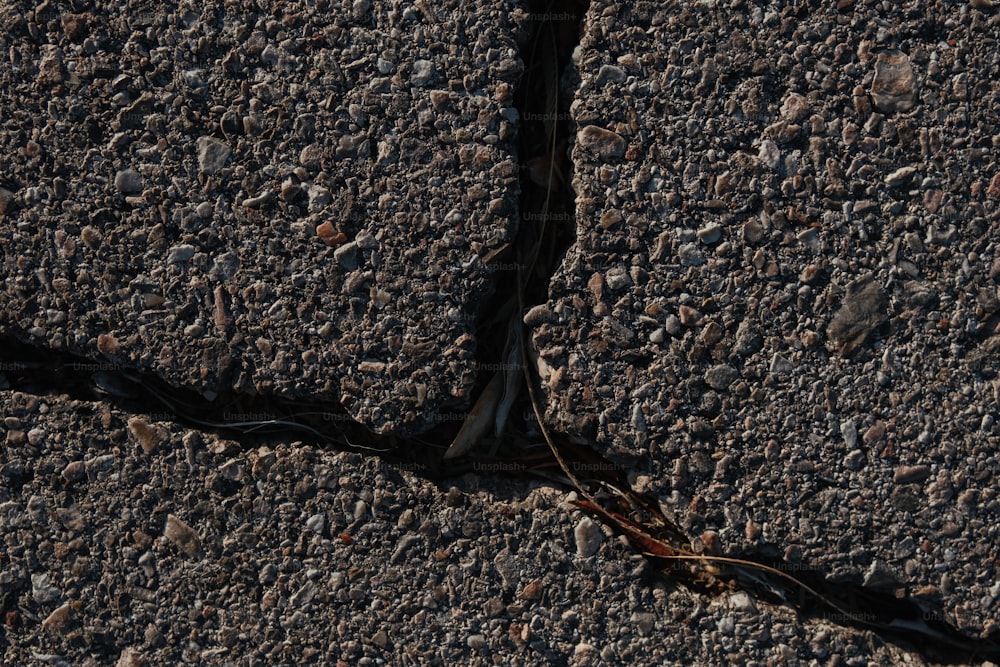 道路の真ん中の地面に横たわっている黒い物体