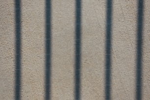 the shadow of a fence on a concrete wall