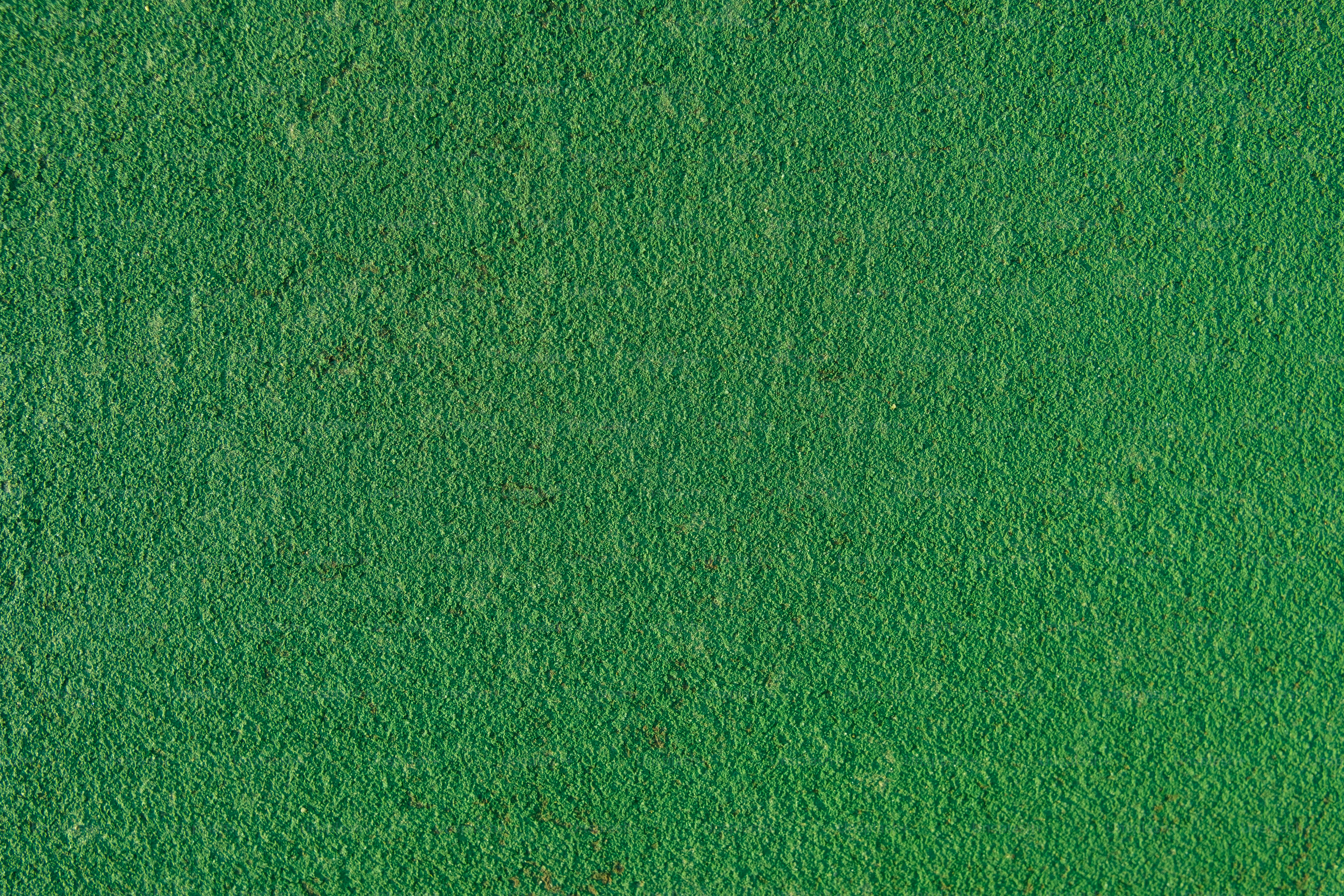 500+ 그린 픽처스 [HD] Unsplash에서 무료 이미지 다운로드