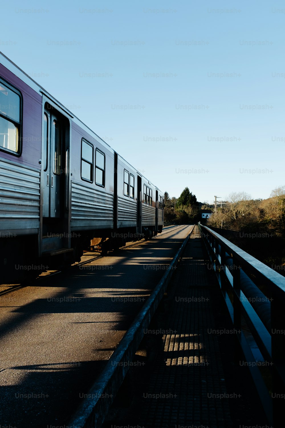 Ein silberner Zug, der neben einem Wald die Bahngleise hinunterfährt