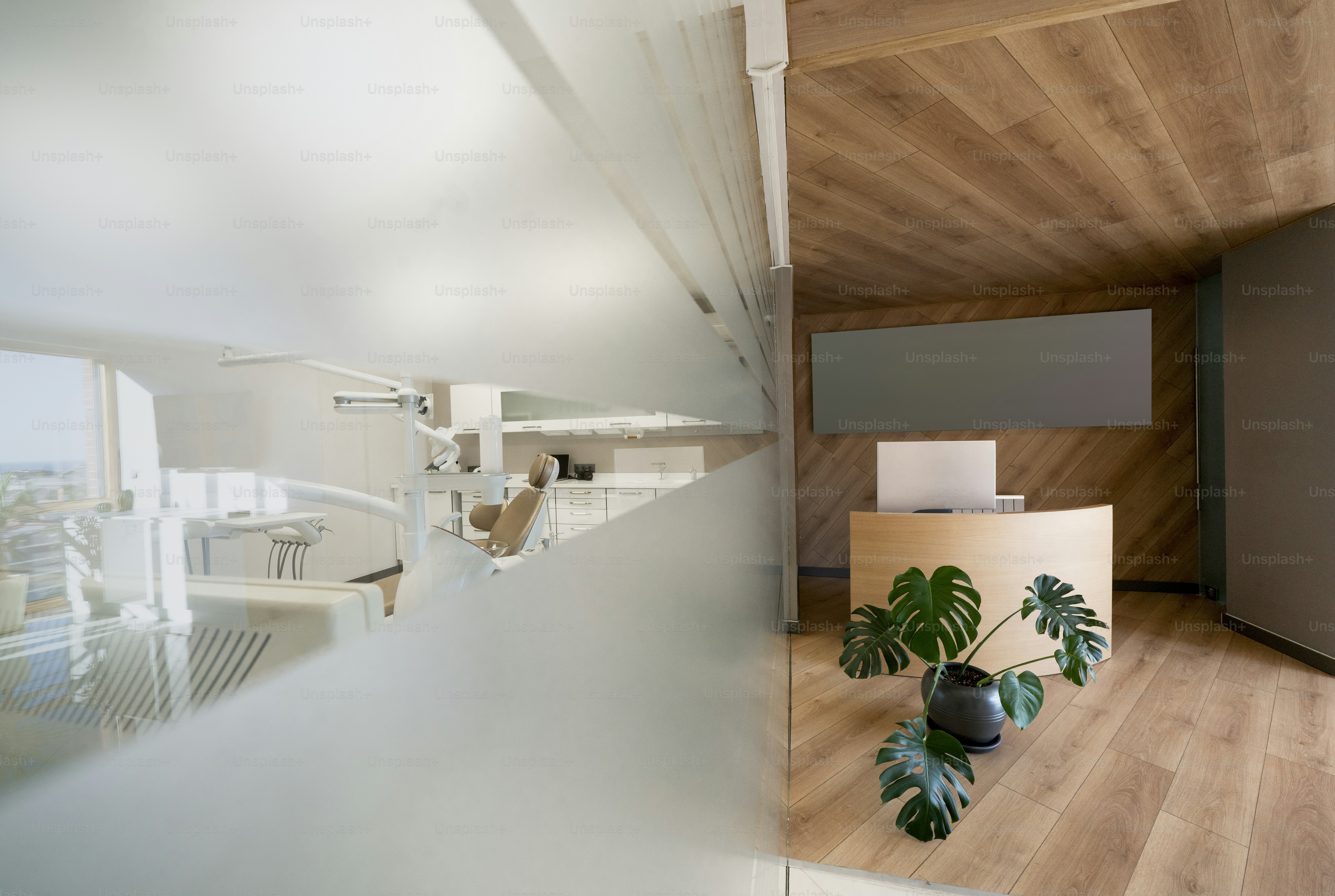 a room with a wooden floor and a plant in a vase