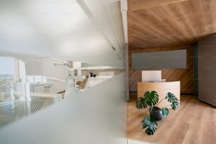 a room with a wooden floor and a plant in a vase