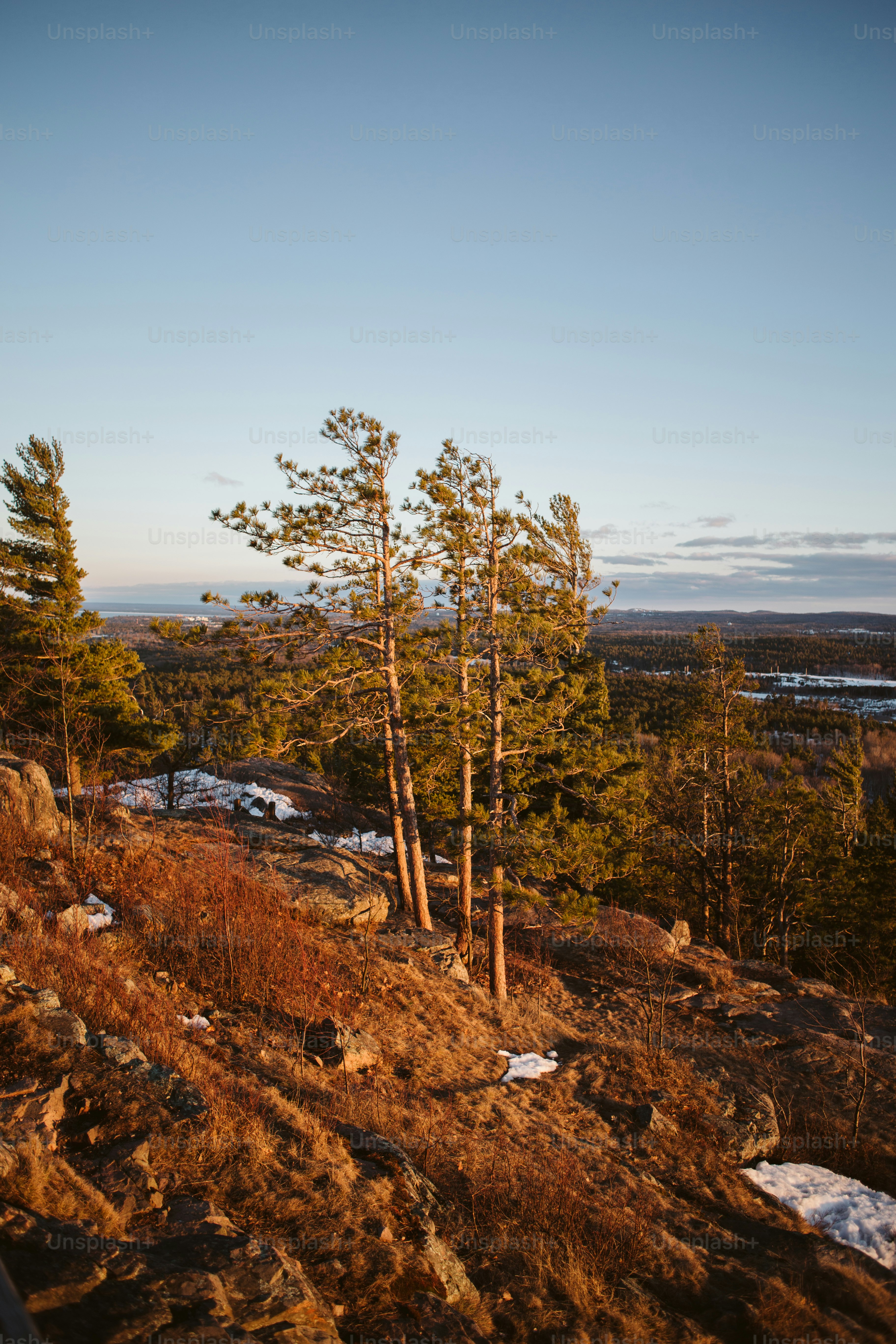 East Chickenbone Campground