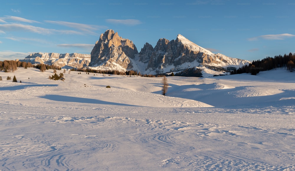 a snowy landscape with mountains in the background