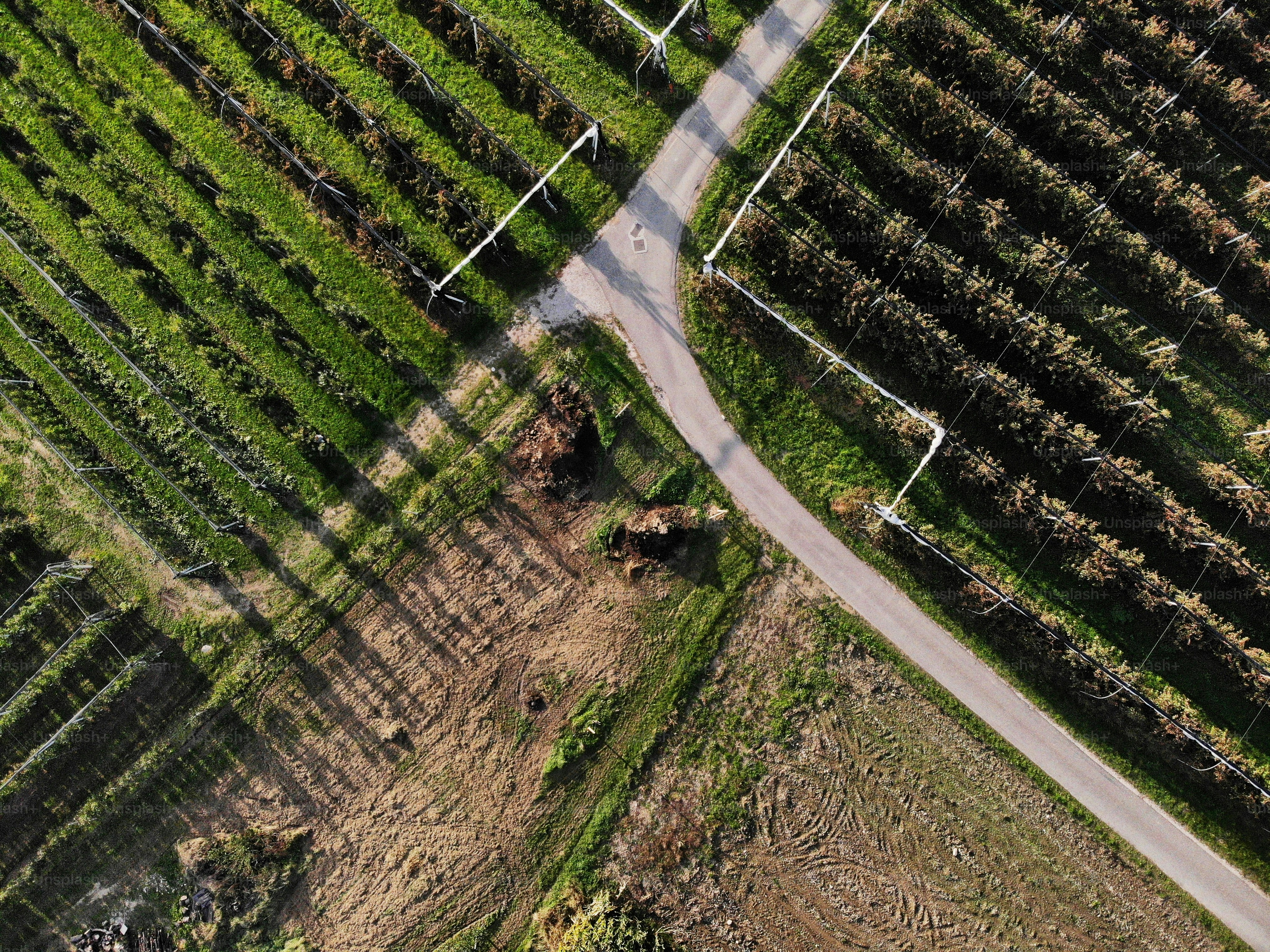 an aerial view of a dirt road in a field