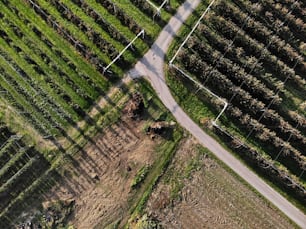 an aerial view of a dirt road in a field